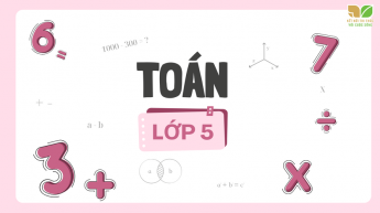 Toán - Lớp 5 - Bộ sách Kết nối tri thức với cuộc sống