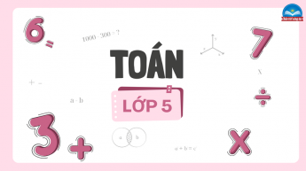 Toán - Lớp 5 - Bộ sách Chân trời sáng tạo