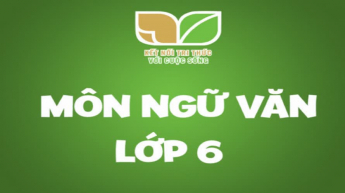 Ngữ văn - Lớp 6 - Bộ sách Kết nối tri thức với cuộc sống