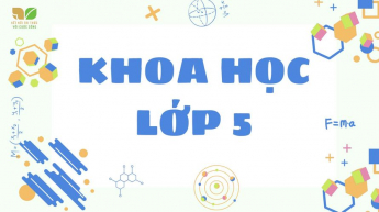 Khoa học - Lớp 5 - Bộ sách Kết nối tri thức với cuộc sống