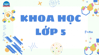 Khoa học - Lớp 5 - Bộ sách Chân trời sáng tạo